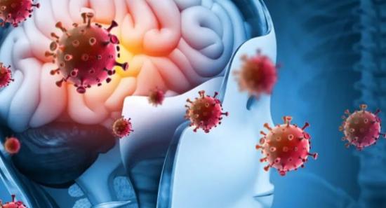 7 Suspected Meningitis Cases at Angunakolapelessa